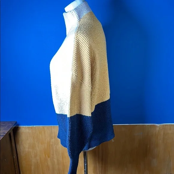 Colorblock Turtleneck Sweater - Picture 3 of 7